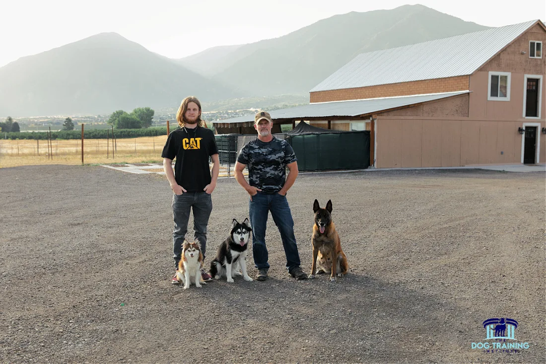 Dog Trainers in Utah County A group dog training session conducted by The Dog Training Institute in Payson, Utah, featuring trainers and dogs working to practice obedience and socialization techniques...