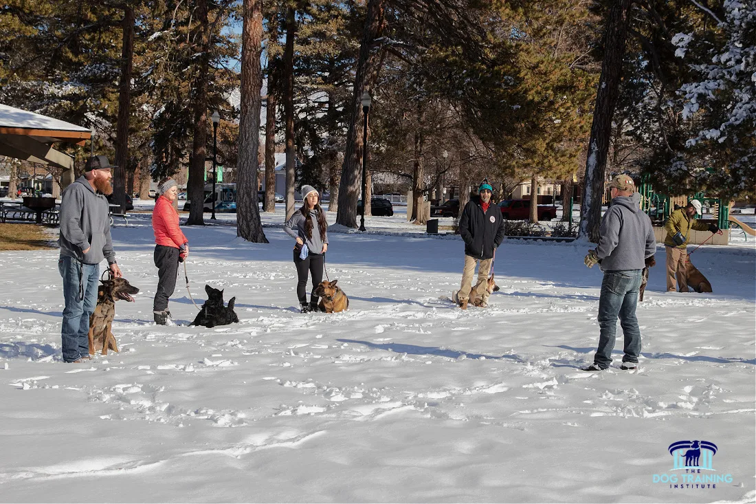 Group dog training session held by The Dog Training Institute in Payson, Utah, with a trainer instructing participants and their dogs in a snowy park, demonstrating obedience training techniques.