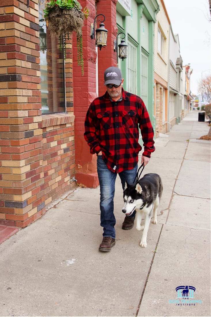 A dog trainer from The Dog Training Institute walking a well-trained Husky along a sidewalk in Payson, Utah, showcasing practical obedience training techniques during a walk through the community...