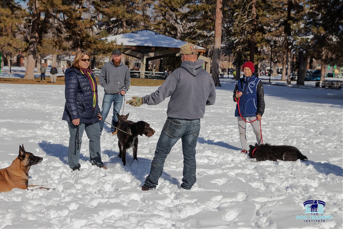 Group Dog Training in Winter Payson Utah Trainers and dog owners participating in an outdoor winter dog training session at The Dog Training Institute in Payson, Utah, with dogs practicing obedience in a snowy park setting, showcasing the community-focused and effective training approach...