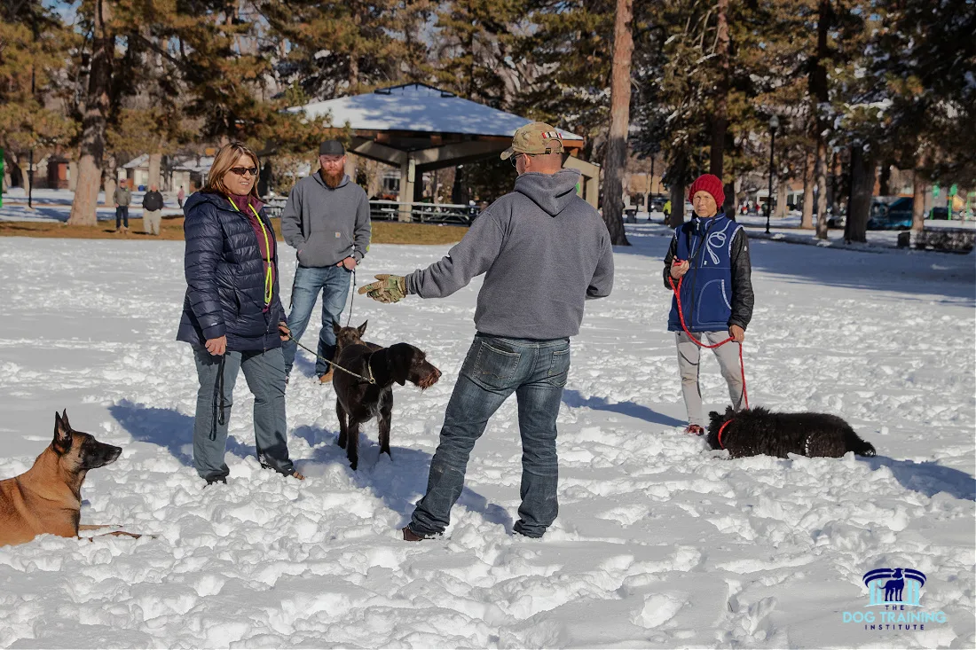 Group Dog Training in Winter Payson Utah Trainers and dog owners participating in an outdoor winter dog training session at The Dog Training Institute in Payson, Utah, with dogs practicing obedience in a snowy park setting, showcasing the community-focused and effective training approach...
