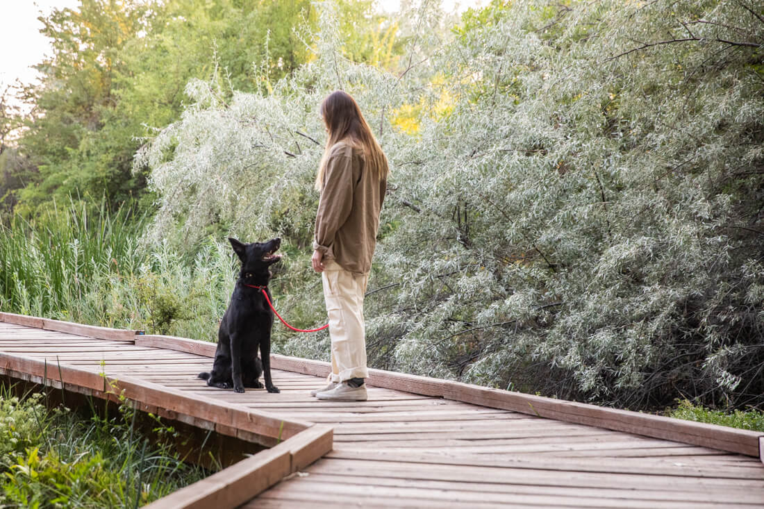 Professional dog trainer walking and training a black dog on a leash in Utah – expert obedience and behavior training by The Dog Training Institute