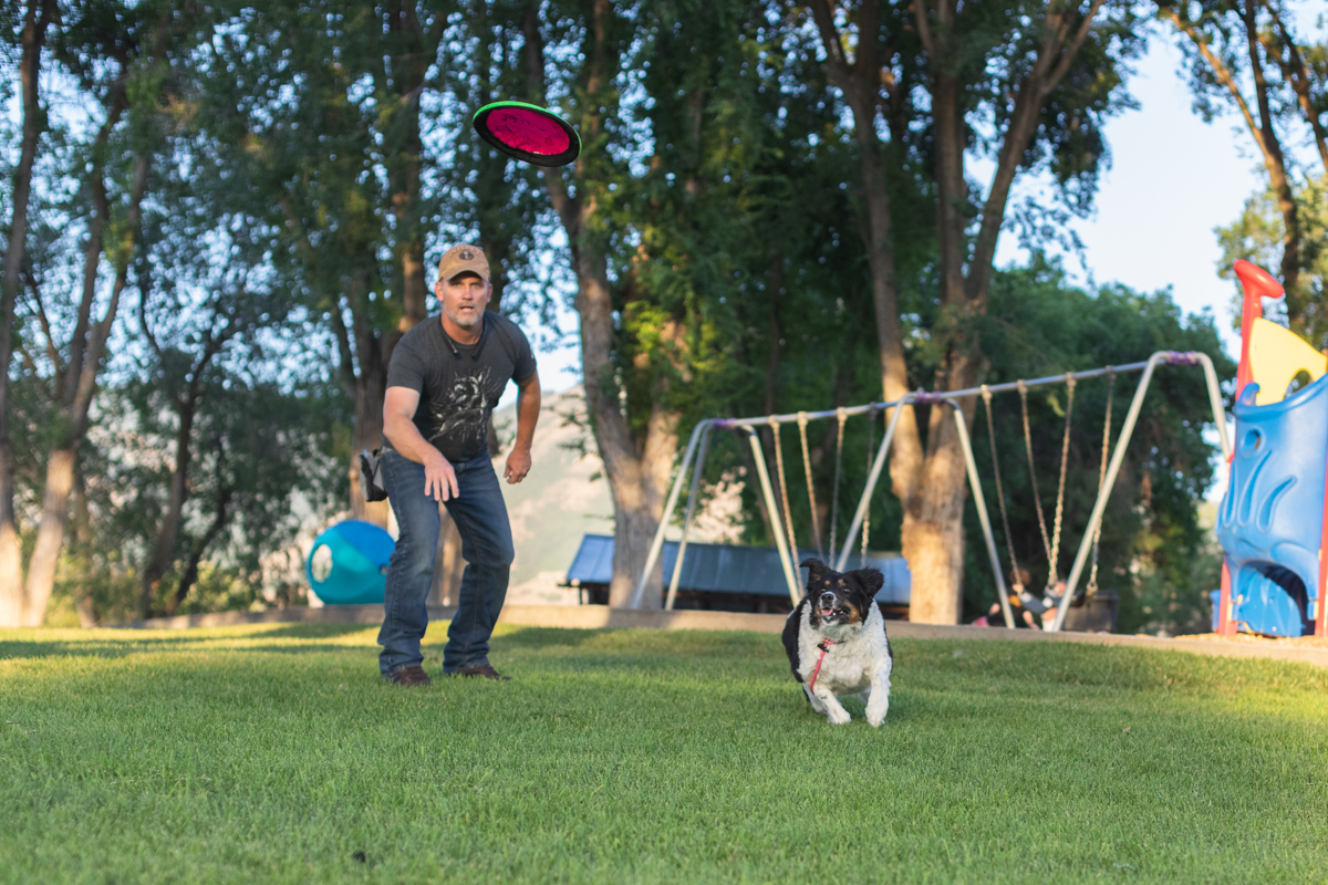 One-on-one dog training session tailored for Orem Utah dog owners, focusing on obedience, behavior improvement, and personalized instruction.