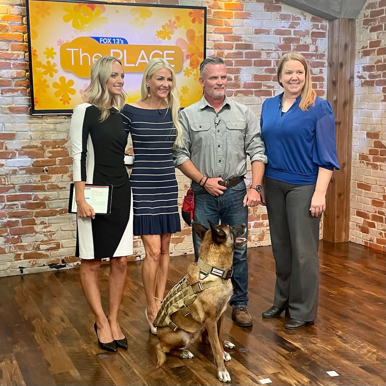 Dog completing board and train exercises near Orem Utah, demonstrating improved manners, calm behavior, and responsiveness after professional dog training.